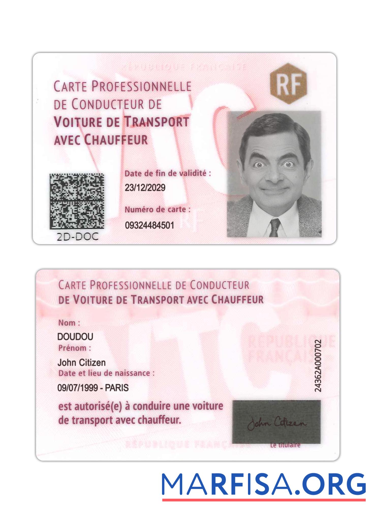 Blank France professional driver's card download for verification
